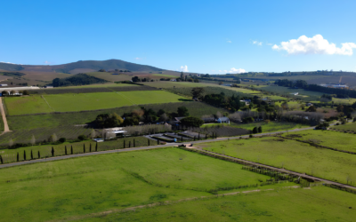 Exceptional 20 Hectare Lifestyle Farm in Exclusive Devon Valley