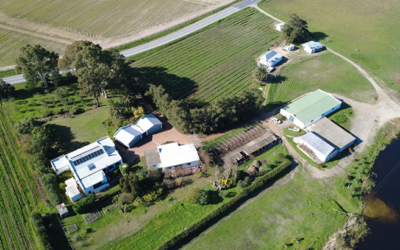 Prime 43 Ha farm in the Stellenbosch Winelands, with abundance of water.